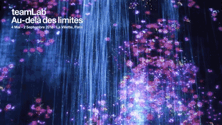 TeamLab : ڟo߅