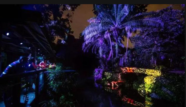 野生動物公園夜游項目打造要遵循什么原則?